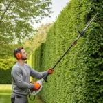 Quand tailler ses haies : le moment idéal  pour un jardin impeccable