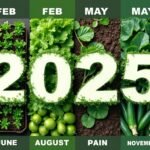 découvrez notre calendrier du jardinier 2025 pour réussir votre potager mois par mois, avec des conseils pratiques et des tâches essentielles à réaliser tout au long de l'année.