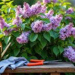 découvrez notre guide complet pour choisir, planter et entretenir le seringat, un arbuste parfumé idéal pour sublimer votre jardin tout au long de l'année.